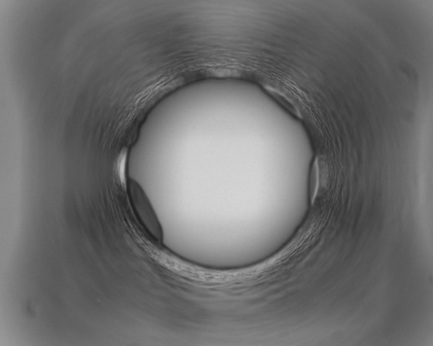 X0000113350047200909151035