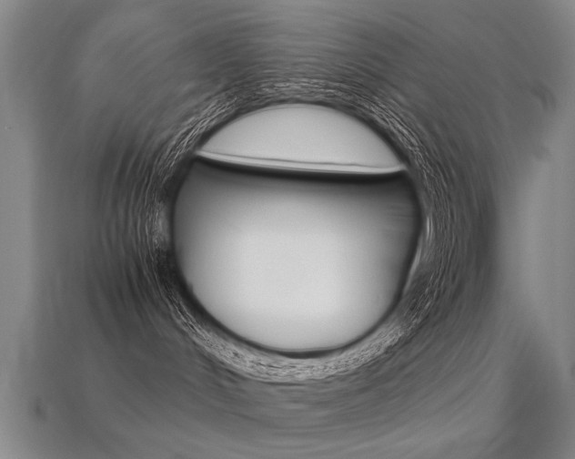 X0000113350048200909151035