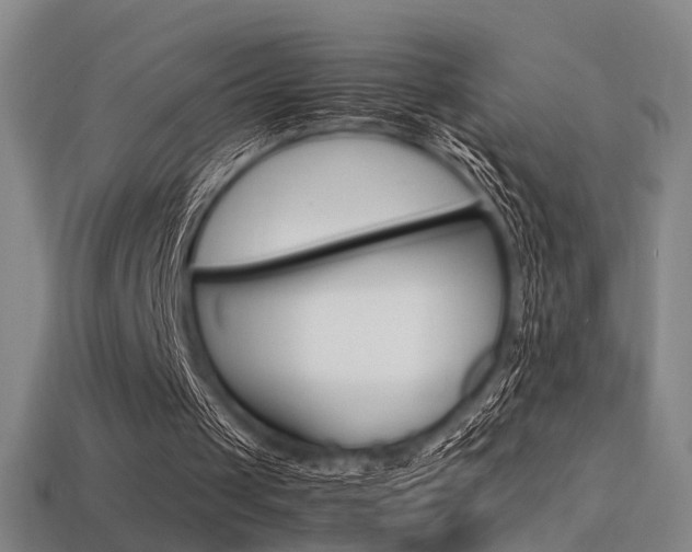 X0000113350049200909151034