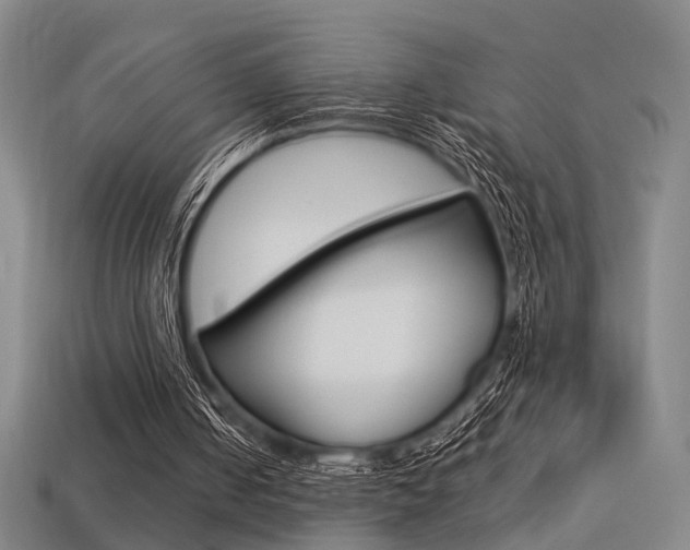 X0000113350050200909151034
