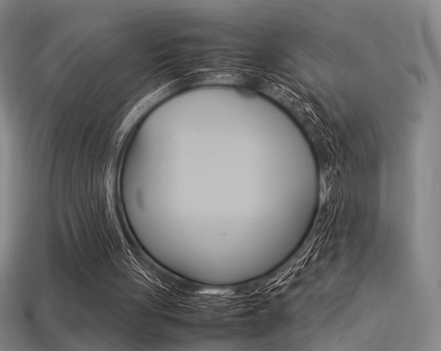 X0000113350051200909151034