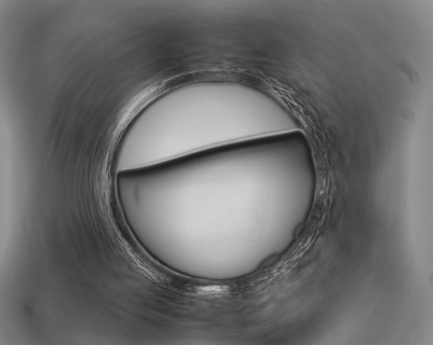 X0000113350053200909151034