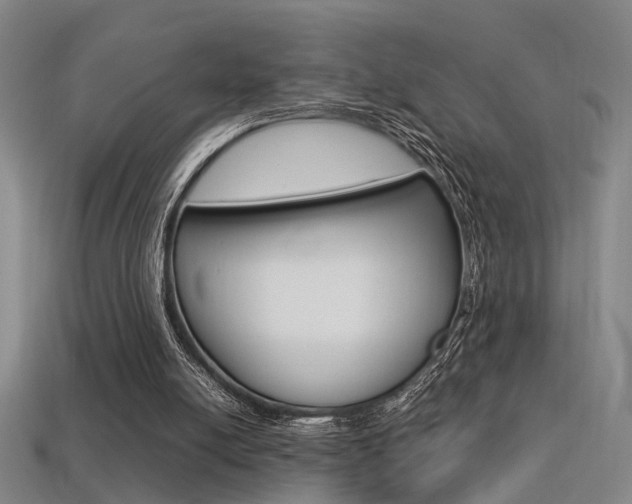 X0000113350054200909151034