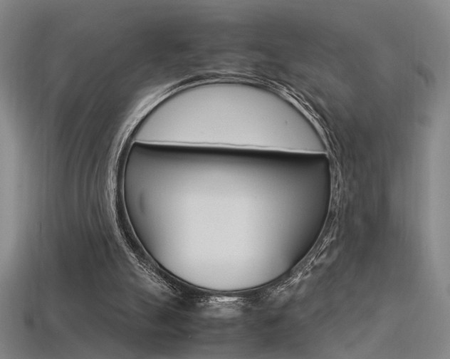 X0000113350055200909151034