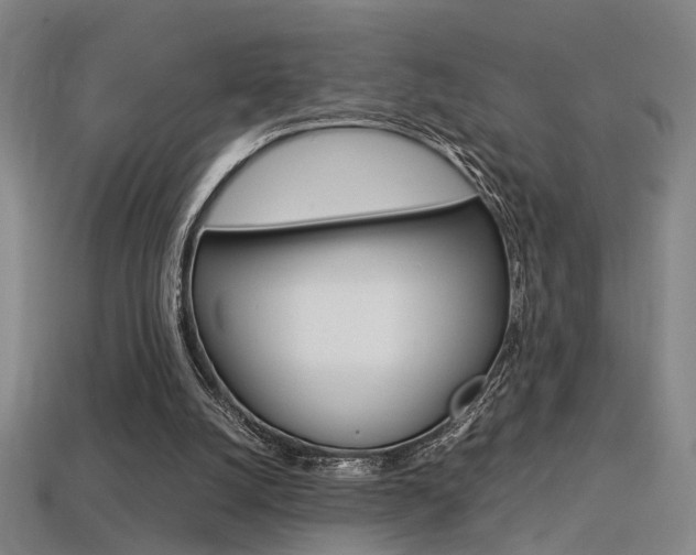 X0000113350056200909151034