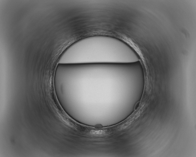 X0000113350057200909151034