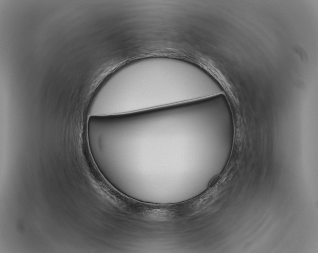 X0000113350058200909151034