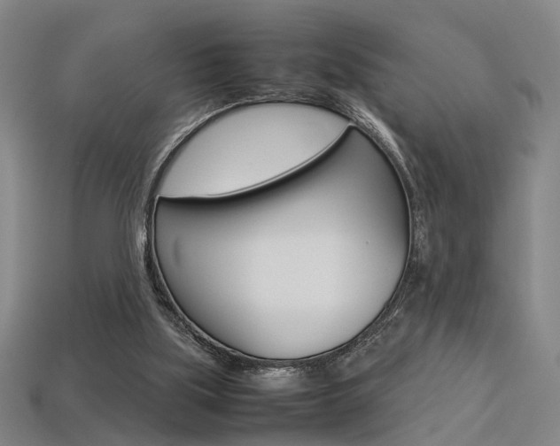 X0000113350059200909151034