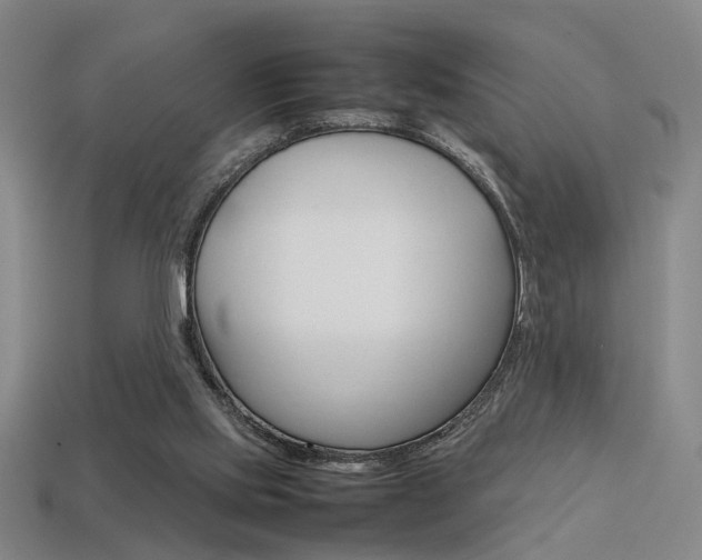 X0000113350061200909151034