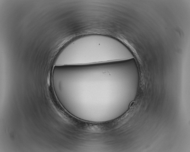 X0000113350062200909151034