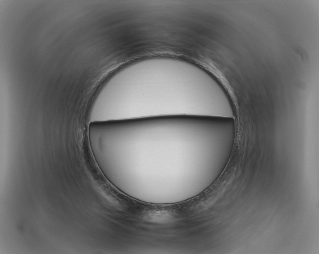 X0000113350063200909151034