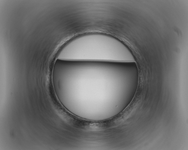 X0000113350064200909151034