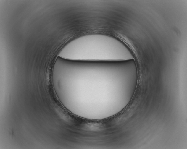 X0000113350065200909151034