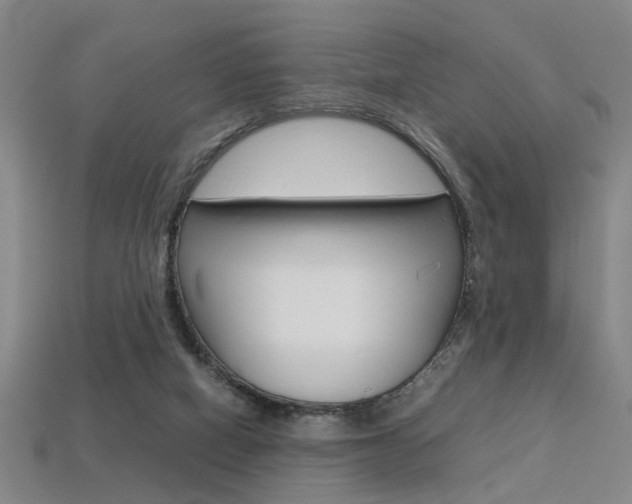 X0000113350066200909151034
