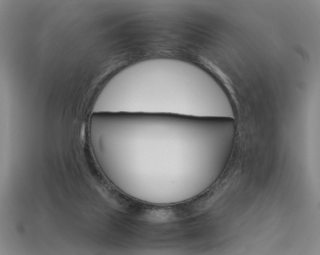 X0000113350067200909151034