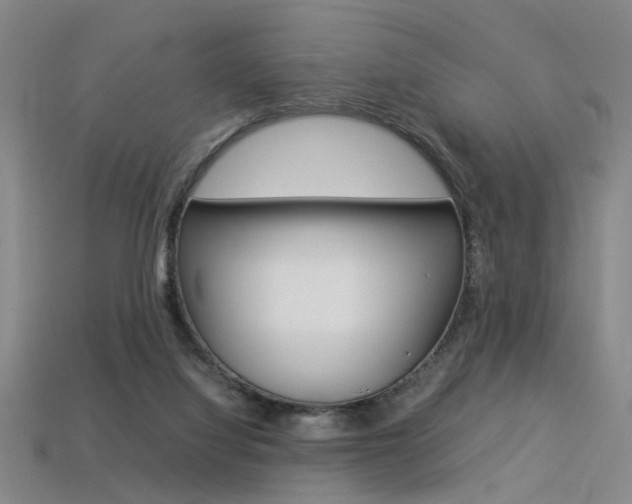 X0000113350068200909151034