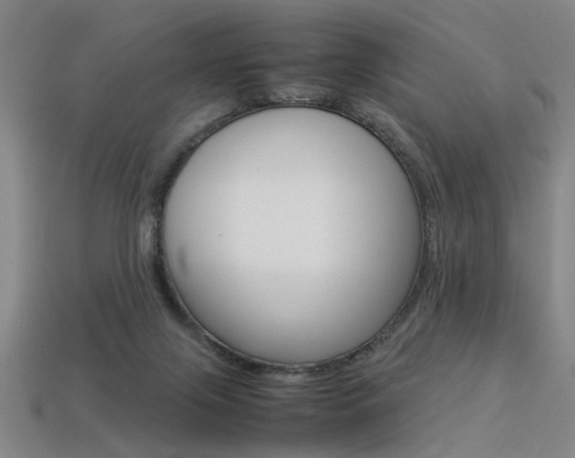 X0000113350071200909151034