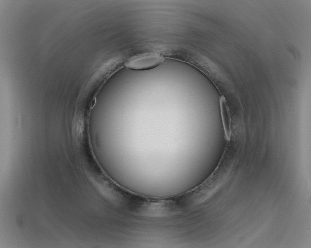 X0000113350072200909151034
