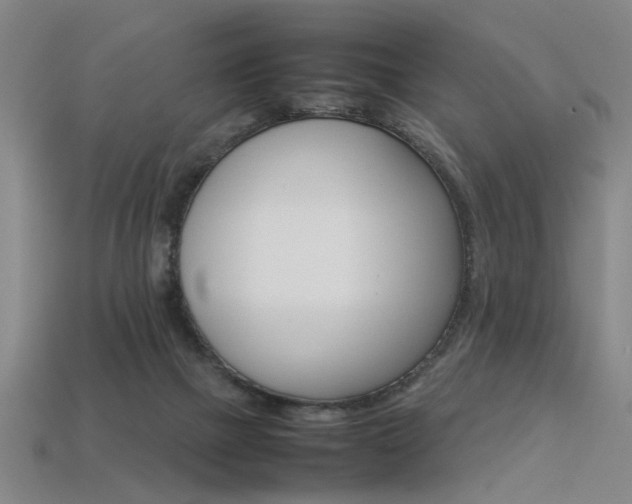 X0000113350073200909151034