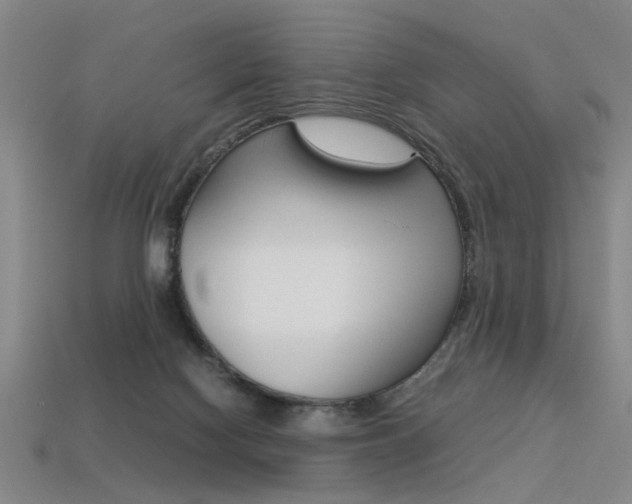 X0000113350074200909151034