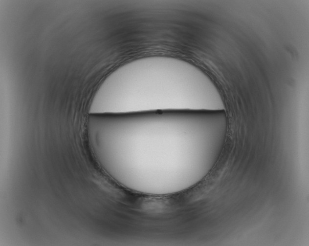 X0000113350077200909151034