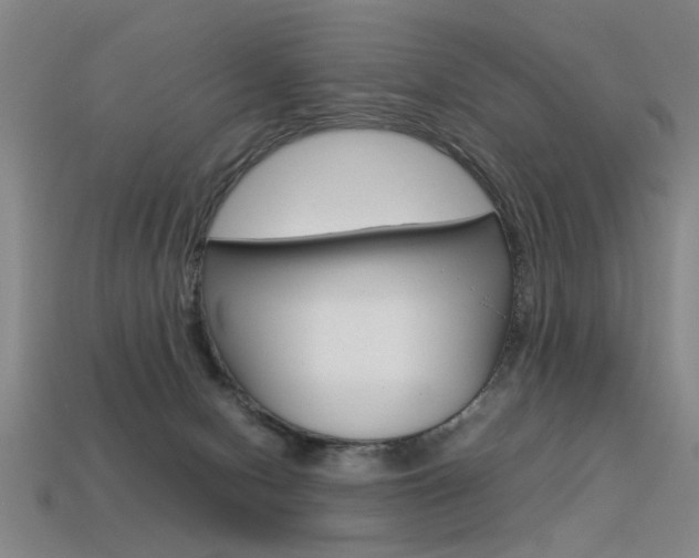 X0000113350078200909151034