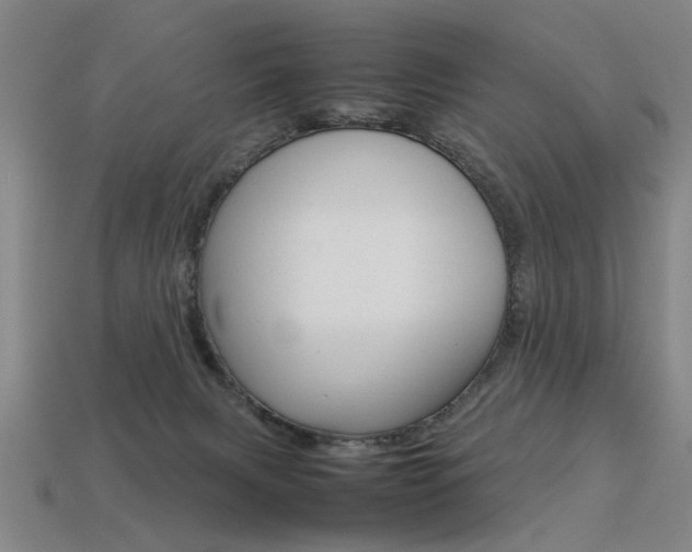 X0000113350079200909151034