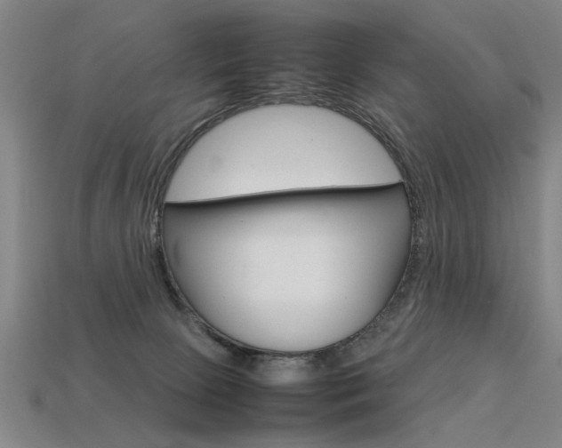 X0000113350081200909151034