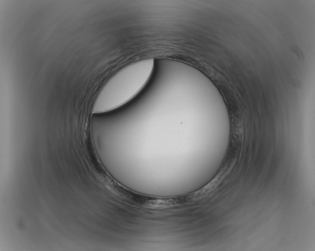 X0000113350082200909151034