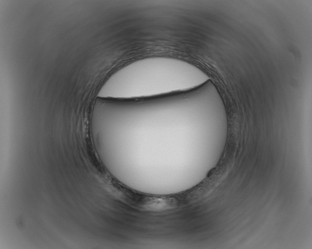 X0000113350083200909151034