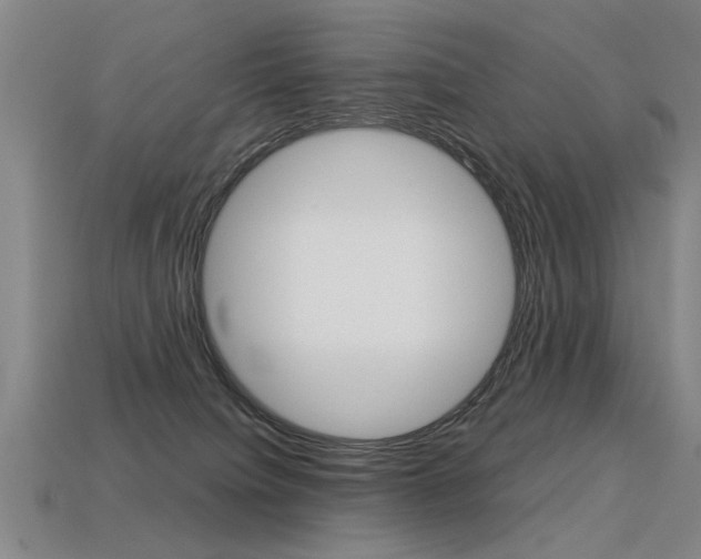 X0000113350084200909151034
