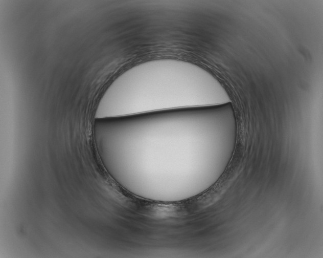 X0000113350085200909151034