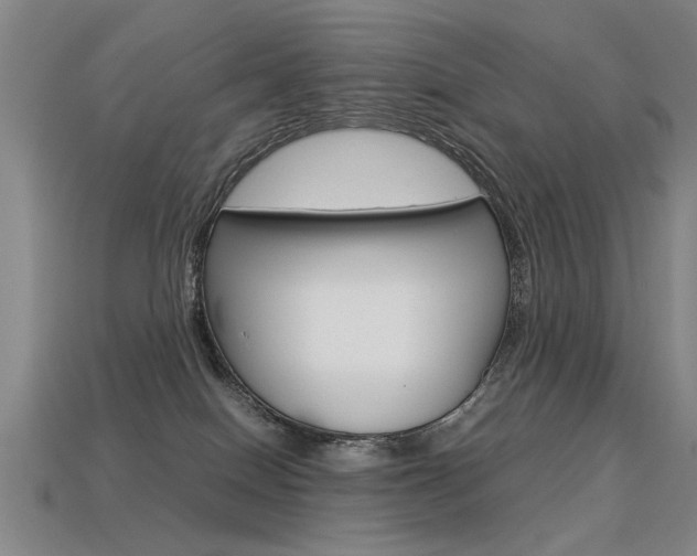 X0000113350086200909151034