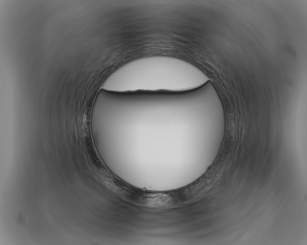 X0000113350087200909151034