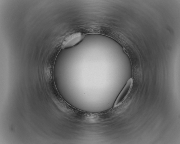 X0000113350088200909151034
