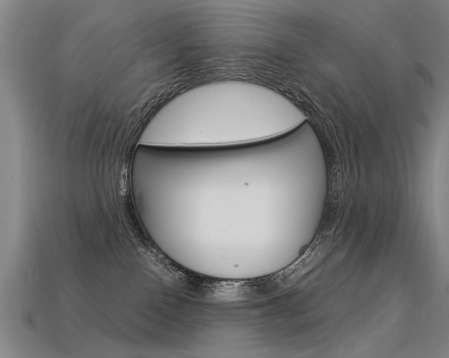 X0000113350090200909151034