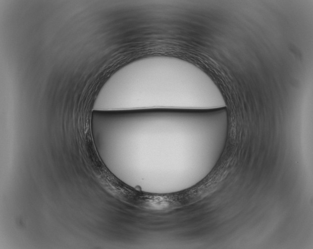 X0000113350091200909151034