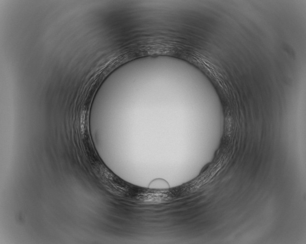X0000113350093200909151035