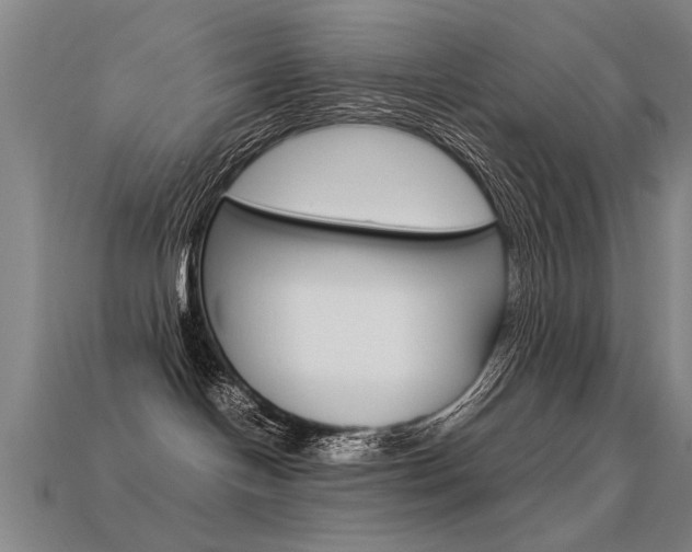 X0000113350094200909151035