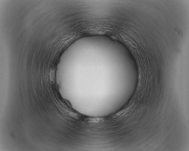 X0000113350096200909151035