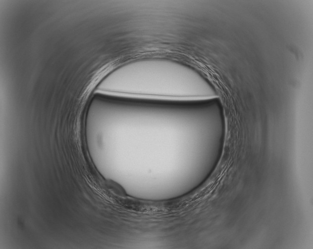 X0000113350099200909151034