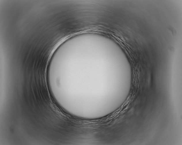 X0000113350100200909151034
