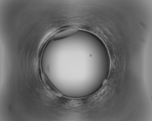 X0000113350101200909151034