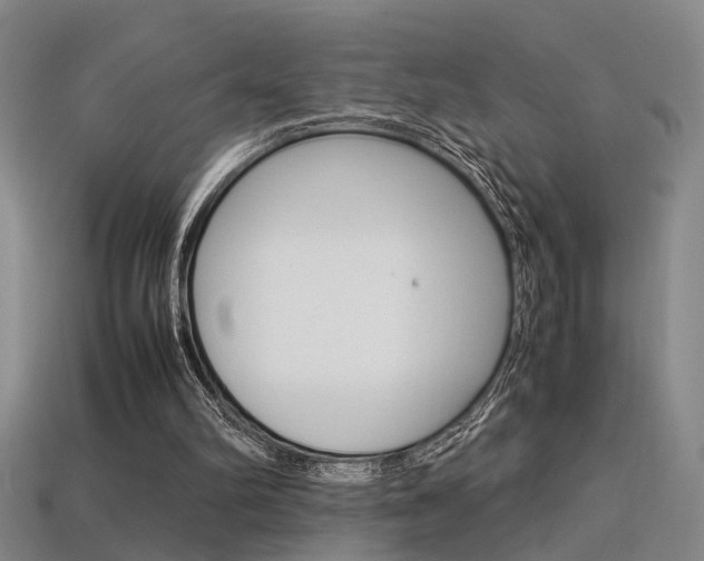 X0000113350102200909151034