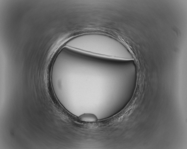 X0000113350103200909151034