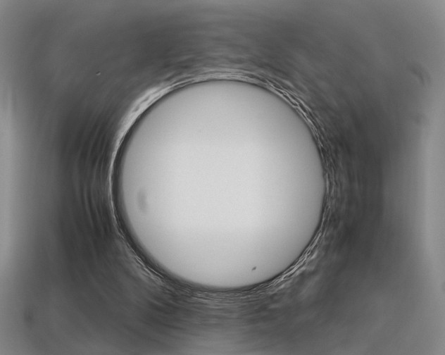 X0000113350104200909151034