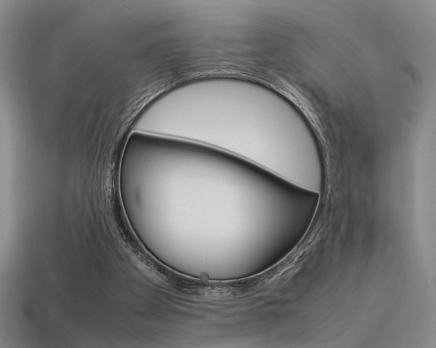 X0000113350105200909151034