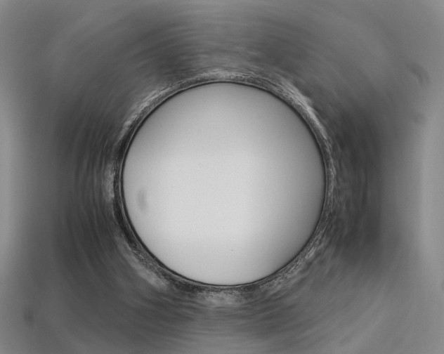 X0000113350106200909151034