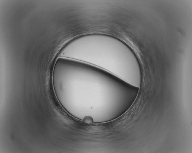 X0000113350107200909151034