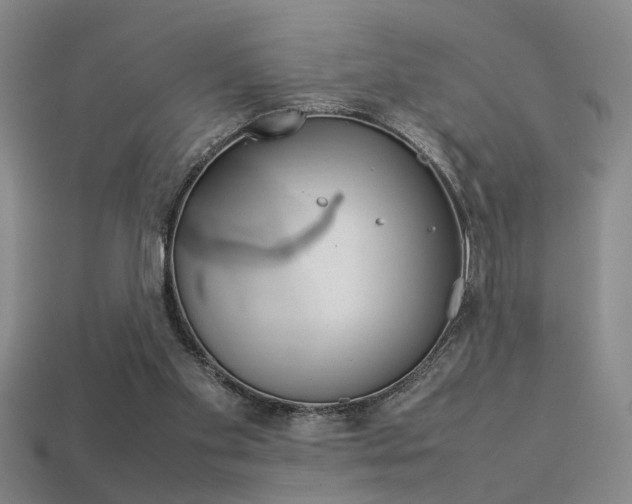 X0000113350109200909151034
